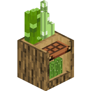 Plantation
